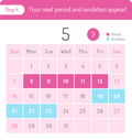 Period Calendar Tracker
